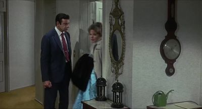 I'll call the registry and have them send another nurse - Cactus Flower