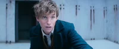 I'll catch you. - Fantastic Beasts and Where to Find Them