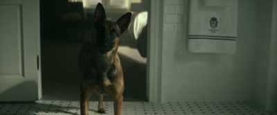 -I'll dip you like a nugget.
-[whines] - Dog