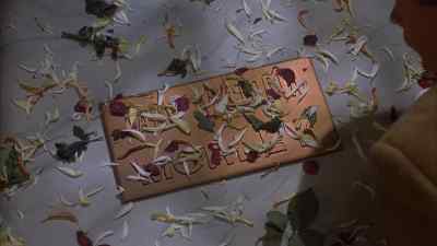 I'll get it. - The Private Eyes