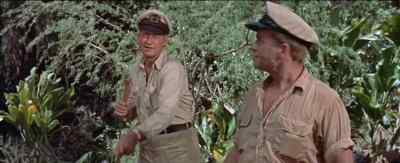 I'll give you a hand, Mr. Kirchner. - The Sea Chase
