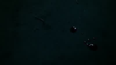 I'll give you a hint, Jimbo. - Gotham