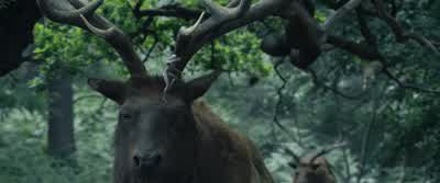 I'll give you a hint. - The Huntsman: Winter's War