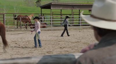 I'll go get the rope
and get him ready to go. - Heartland