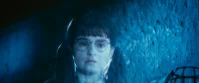 I'll go on and find Ginny.- Okay. - Harry Potter and the Chamber of Secrets