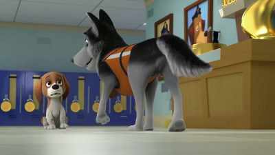 I'll help you learn everything
you need to know to be on the K-9 Team. - The Chicken Squad
