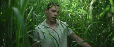 I'll keep talking and you work your way
back towards me, okay? - In the Tall Grass