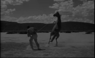 I'll leave tomorrow - The Misfits