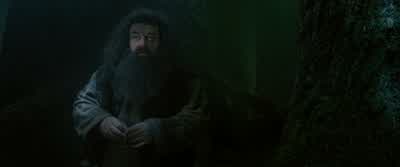 ...I'll likely be getting the sack any day now. - Harry Potter and the Order of the Phoenix