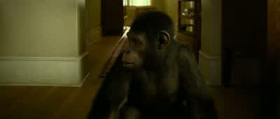 I'll need to keep track of what I take from the lab, although I don't see you needing more than one treatment a month. - Rise of the Planet of the Apes