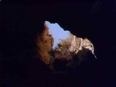 I'll need two volunteers to see what's up there - Planet of Dinosaurs