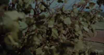 I'll never forget Gipsy's Acre,
as I saw it that very first time. - Endless Night