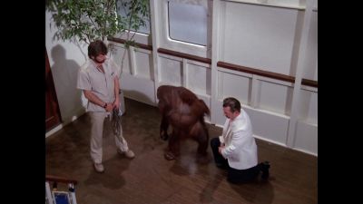 I'll never forget you. - The Love Boat