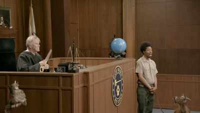I'll plug your butts - Gary Busey: Pet Judge