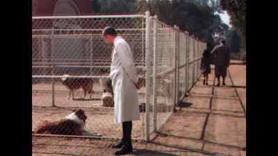 I'll see you eat
before I'm through with you. - Lassie Come Home