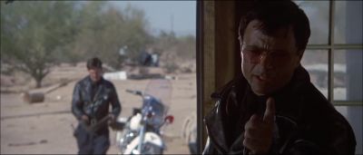 I'll see you later - Electra Glide in Blue