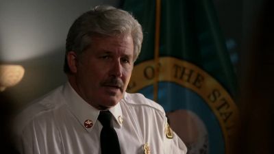 I'll step down
pending investigation, sir. - Station 19
