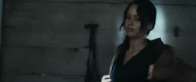I'll still cook you. - The Hunger Games