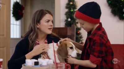 I'll still take care of him - 48 Christmas Wishes