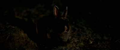 I'll stop asking for
threesomes all the time. - Dead Ant