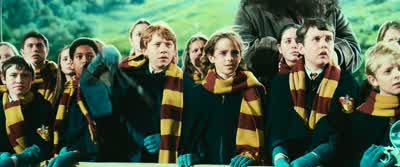 I'll stop itNo Even with a proper wand it's too risky You could hit Harry - Harry Potter and the Chamber of Secrets
