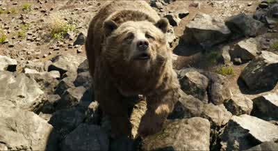 Uh... I'll take it from here. - The Jungle Book