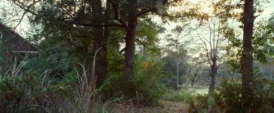 I'll take it. - The Lucky One