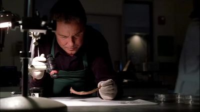                     I'll take it
                    to Greg. - CSI: Crime Scene Investigation