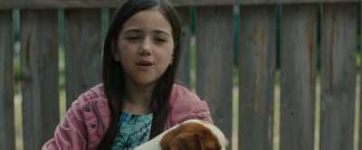I'll take Molly home.
My mom will go crazy for her. - A Dog's Journey