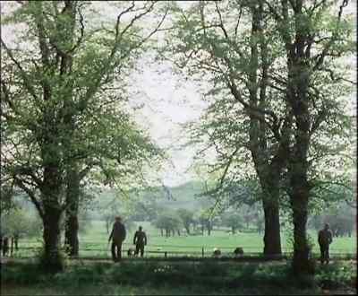I'll take this one. - Last of the Summer Wine