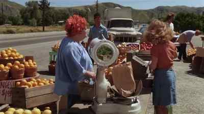 I'll take these two cantaloupes.
How much are they a pound? - Every Which Way but Loose