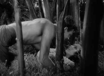 I'll teach you to run away from me! - Bird of Paradise