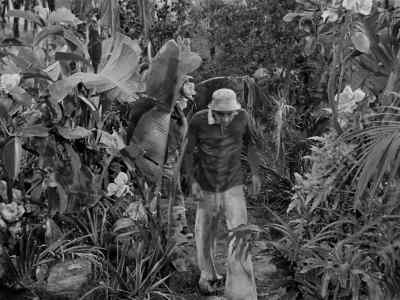 I'll tell you one thing,
Skipper. - Gilligan's Island