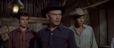 I'll tell you what I can do - The Magnificent Seven