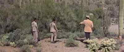 I'll tell you when
to pick it up. - Arizona Raiders
