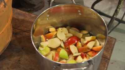   I'll took me some apples
  and I cut them up, - Moonshiners: Master Distiller