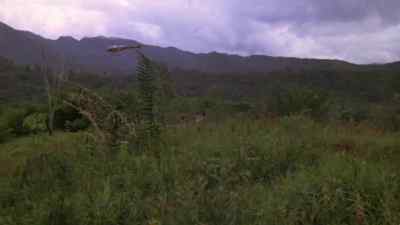 I'll try to get into that bamboo. - Gold of the Amazon Women