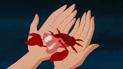 I'll try to help ya find that prince. - The Little Mermaid Live!