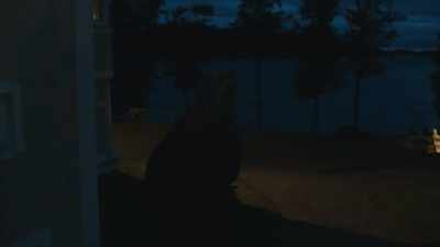I'm 0 for 32 fighting guys with long hair, - Bordertown