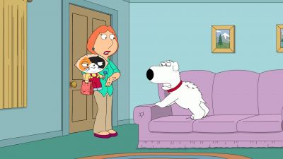 I'm a calico and my name is Humphrey - Family Guy