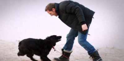 I'm a dog lover -
I have a great dog, - Koko: A Red Dog Story