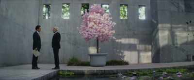 I'm a fool to negotiate
with someone so naive - Captain America: Brave New World
