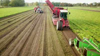 ♪ I'm a harvester ♪ - Tractor Ted
