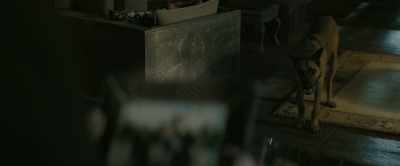 I'm a huge fan, John Wick. - John Wick: Chapter 3   Parabellum