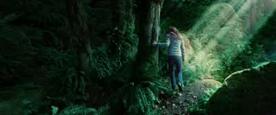 I'm a killer. - Twilight