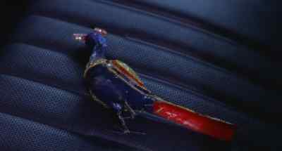 I'm a pretty bird. - The Visitor
