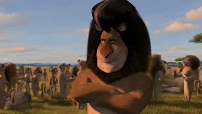 I'm a private dancer A dancer for money - Madagascar: Escape 2 Africa