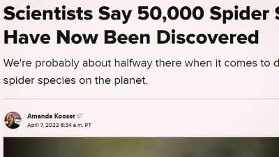 - I'm a skeptic, but
I keep an open mind, - Secrets of the Sasquatch