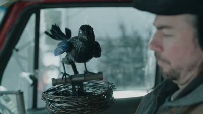 I'm a standard artificial
intelligence device - Snow Day