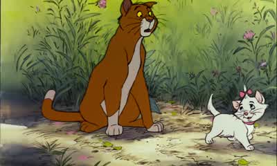 I'm a tough alley cat, too. - The Aristocats